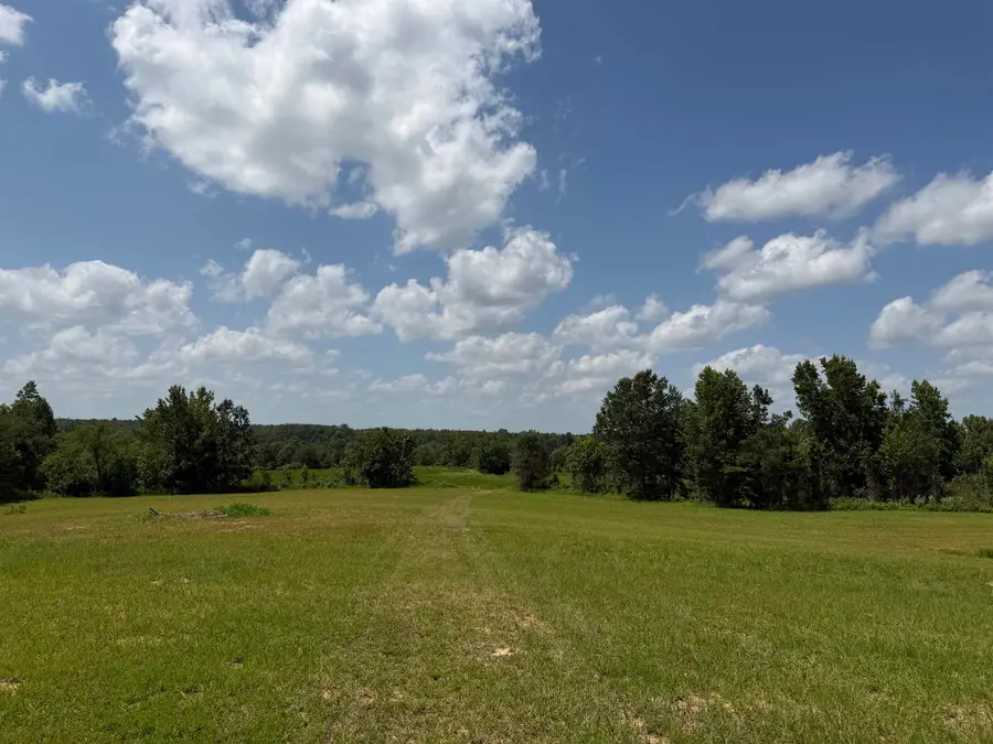 7080 BEAUTY HILL RD, Adamsville, TN 38310 - #3