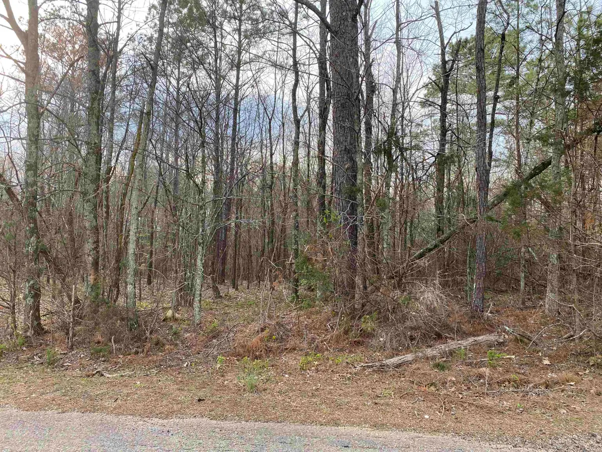 OLD UNION RD, Adamsville, TN 38310 - #1