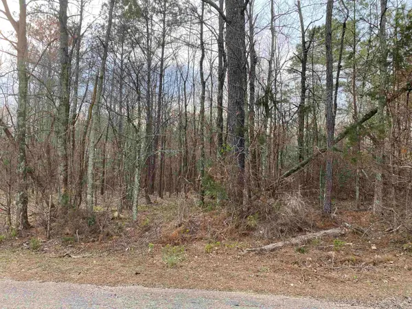 OLD UNION RD, Adamsville, TN 38310