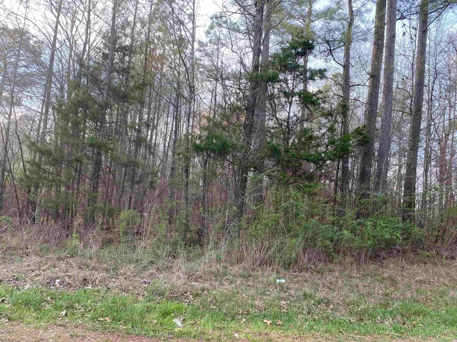 OLD UNION RD, Adamsville, TN 38310 - #3