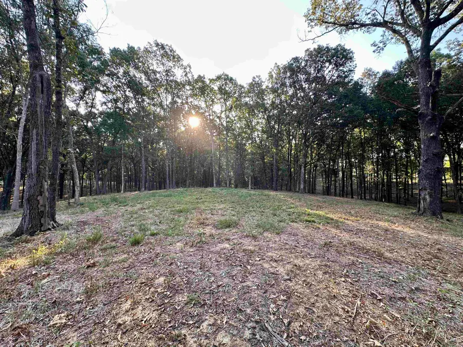 3 DOGWOOD RD, Somerville, TN 38068 - #3