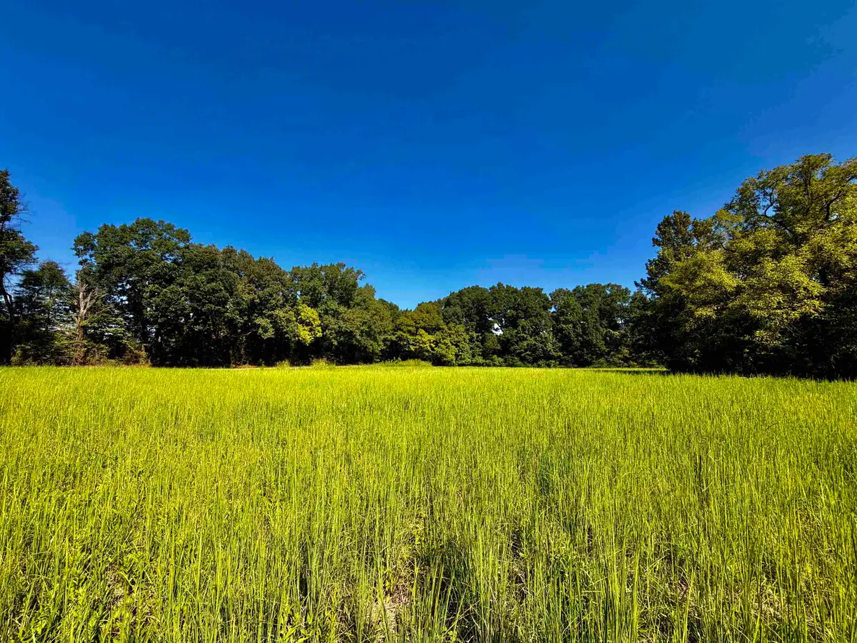 21.10 ACRES TERRY RD, Oakland, TN 38060 - #1
