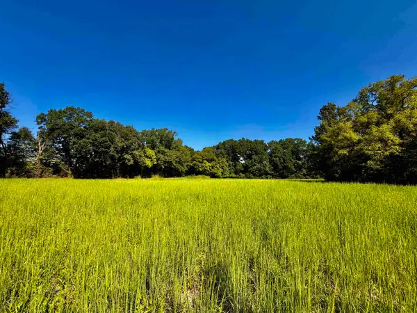 21.10 ACRES TERRY RD, Oakland, TN 38060