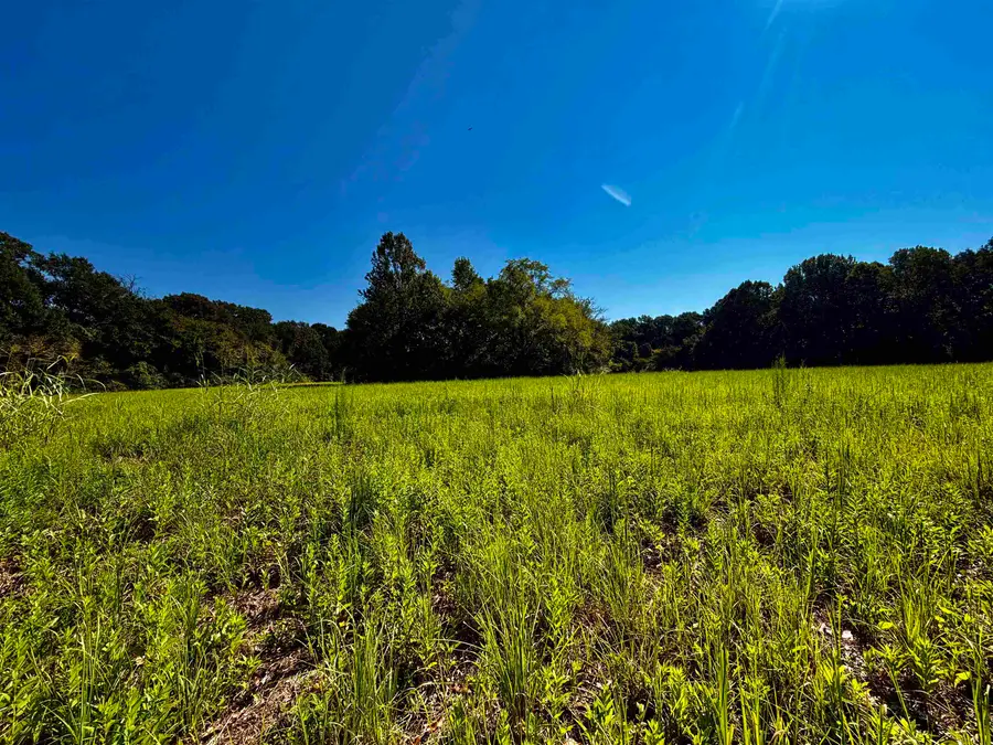 21.10 ACRES TERRY RD, Oakland, TN 38060 - #2