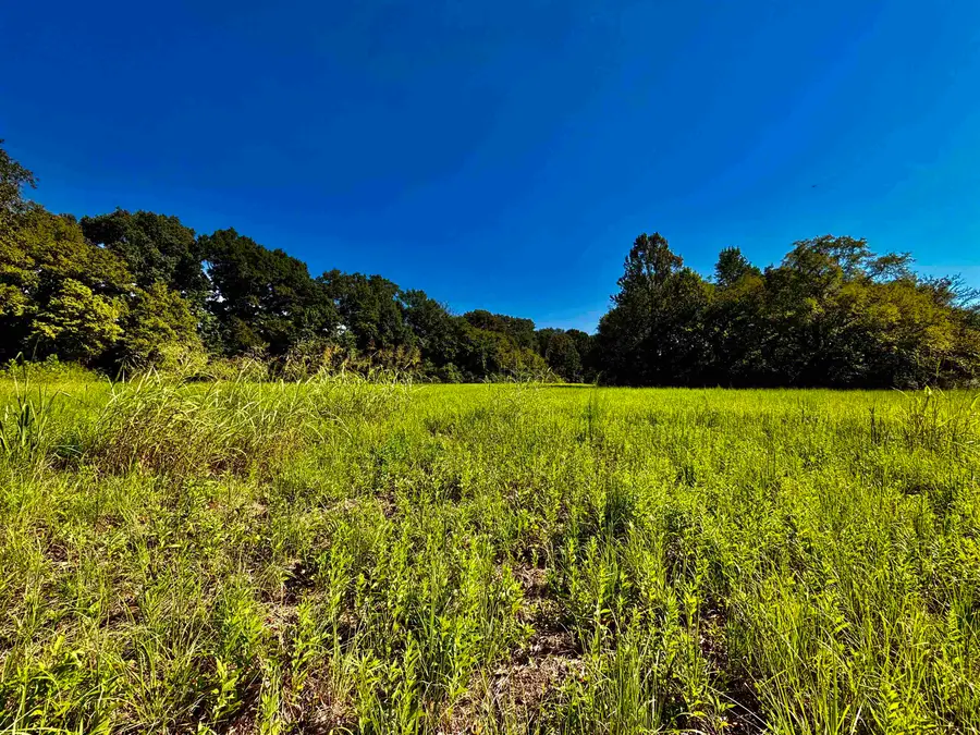 21.10 ACRES TERRY RD, Oakland, TN 38060 - #3