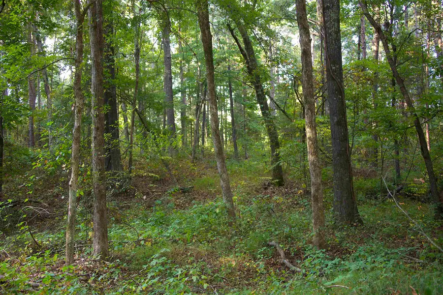 1026 WITHERSPOON RD, Michigan City, MS 38647 - #2