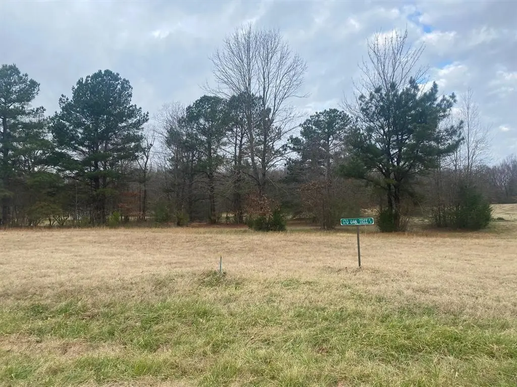 170 OAK TREE DR, Piperton, TN 38017 - #1