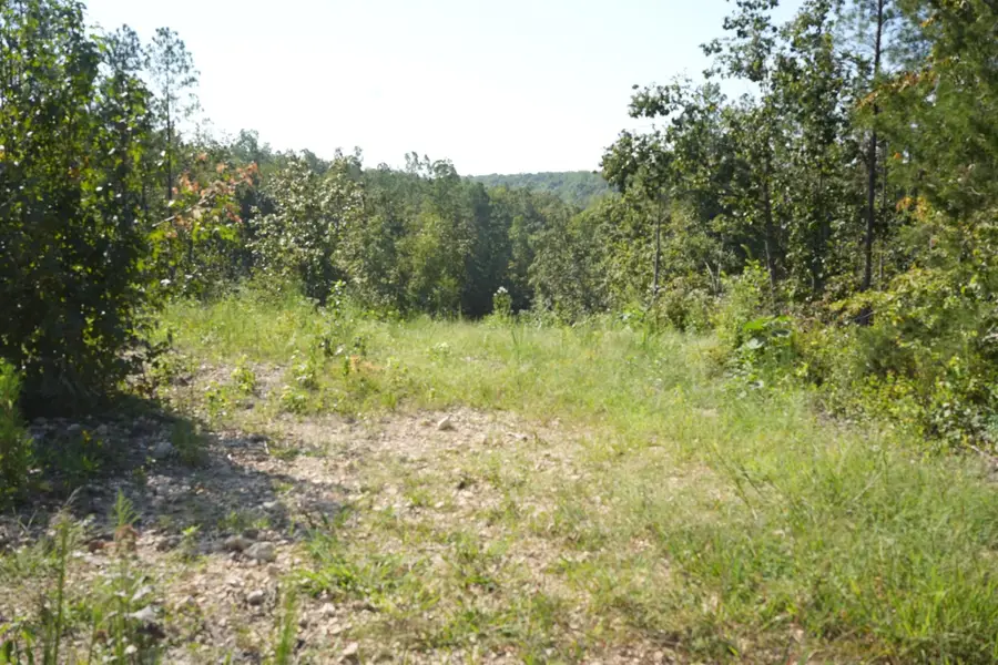 1526 RAY MILLER RD, Sugar Tree, TN 38380 - #2