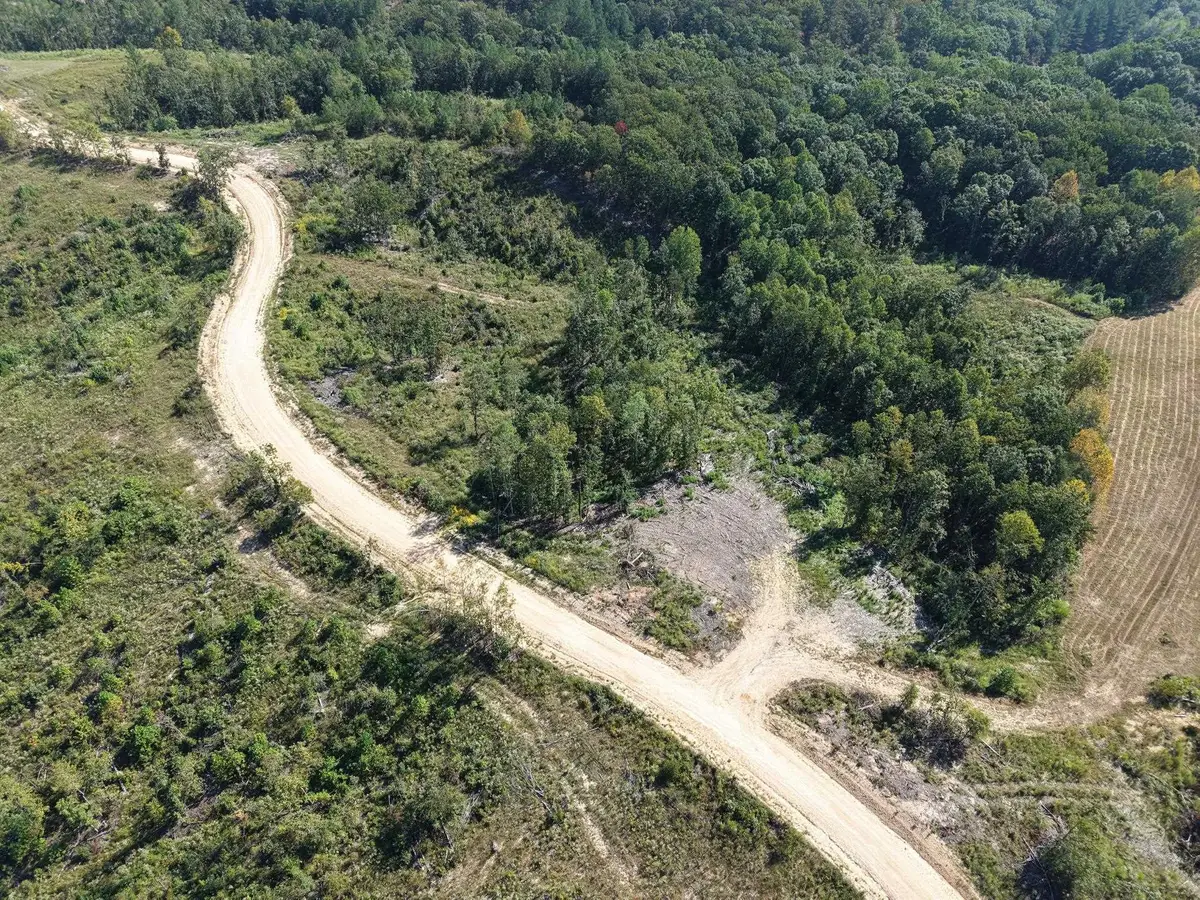 2026 LOW GAP RD, Sugar Tree, TN 38380 - #1