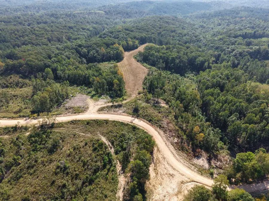 1960 LOW GAP RD, Sugar Tree, TN 38380 - #2