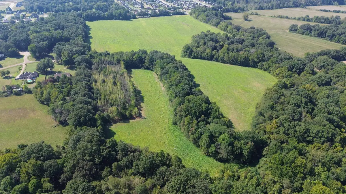 76.34 ACRES TERRY RD, Oakland, TN 38060 - #1