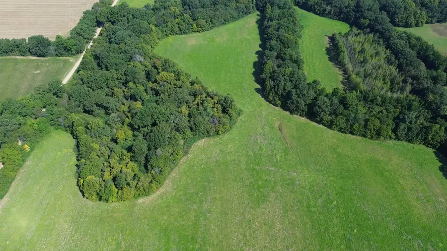 76.34 ACRES TERRY RD, Oakland, TN 38060 - #3