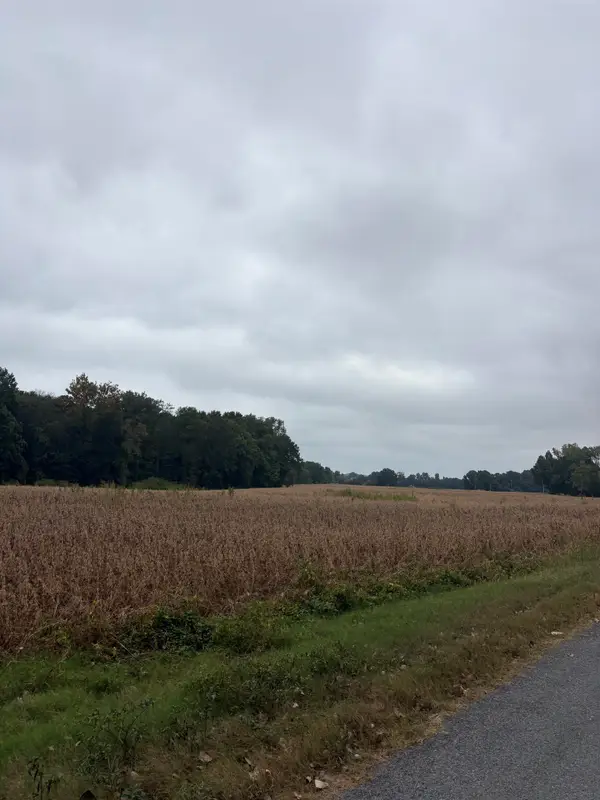 00 LYNN SCHOOL RD, Ripley, TN 38063