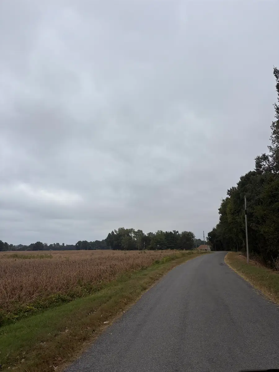 00 LYNN SCHOOL RD, Ripley, TN 38063 - #2