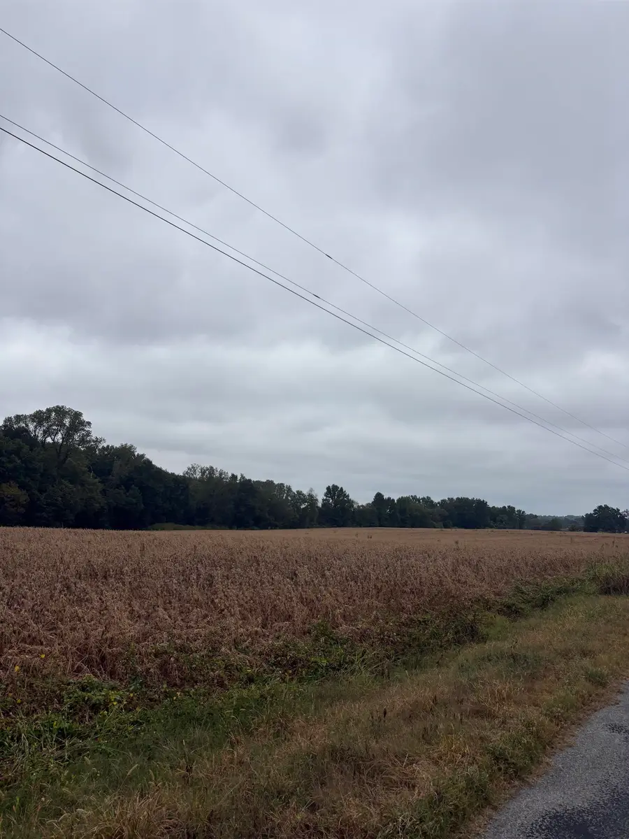 00 LYNN SCHOOL RD, Ripley, TN 38063 - #3