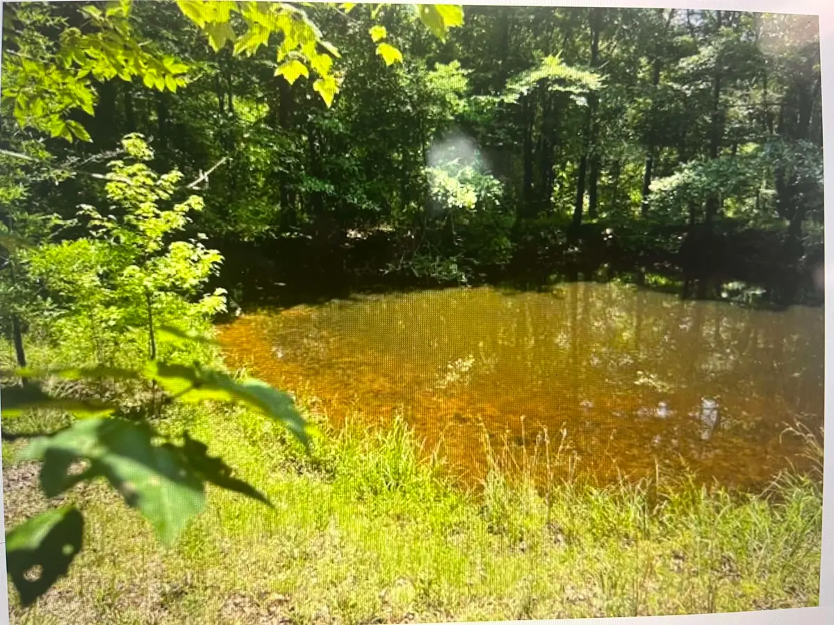 196 BOYD LN, Stanton, TN 38069 - #1