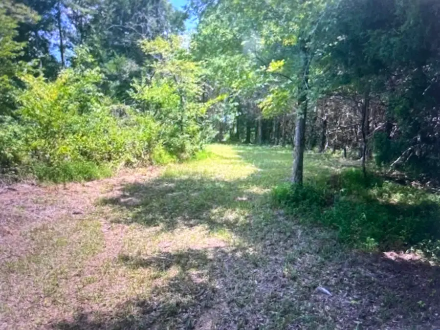 196 BOYD LN, Stanton, TN 38069 - #3
