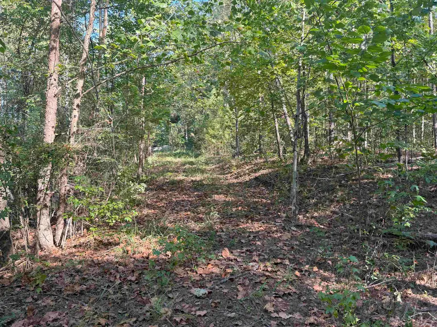 7905 SAIN RD, Bolivar, TN 38008-8308 - #3