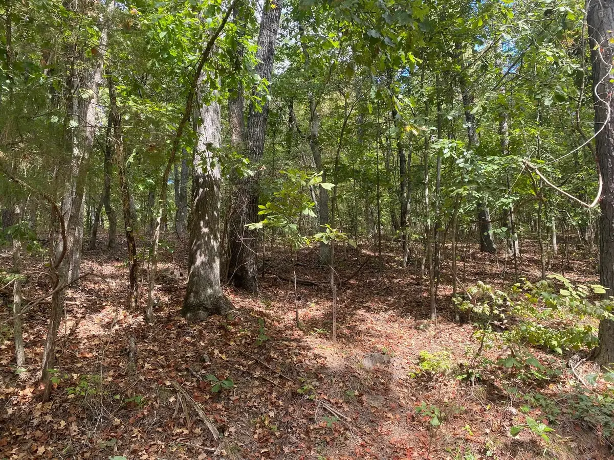 HIGH SMITH RD, Finger, TN 38334 - #1