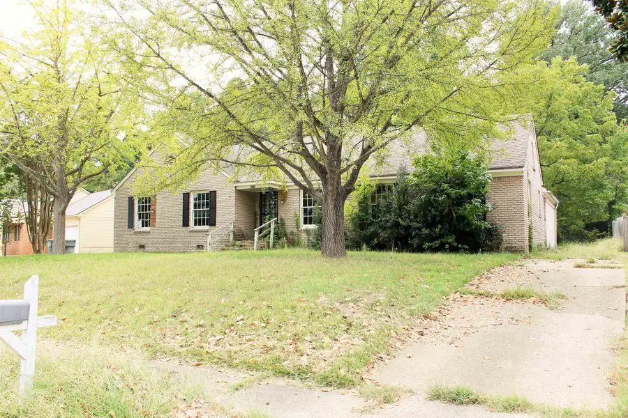 3909 BIRCHLEAF RD, Memphis, TN 38116 - #3