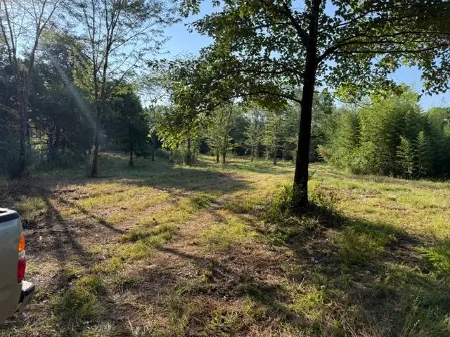 182 AC. COLLIERVILLE ARLINGTON RD, Eads, TN 38017 - #2