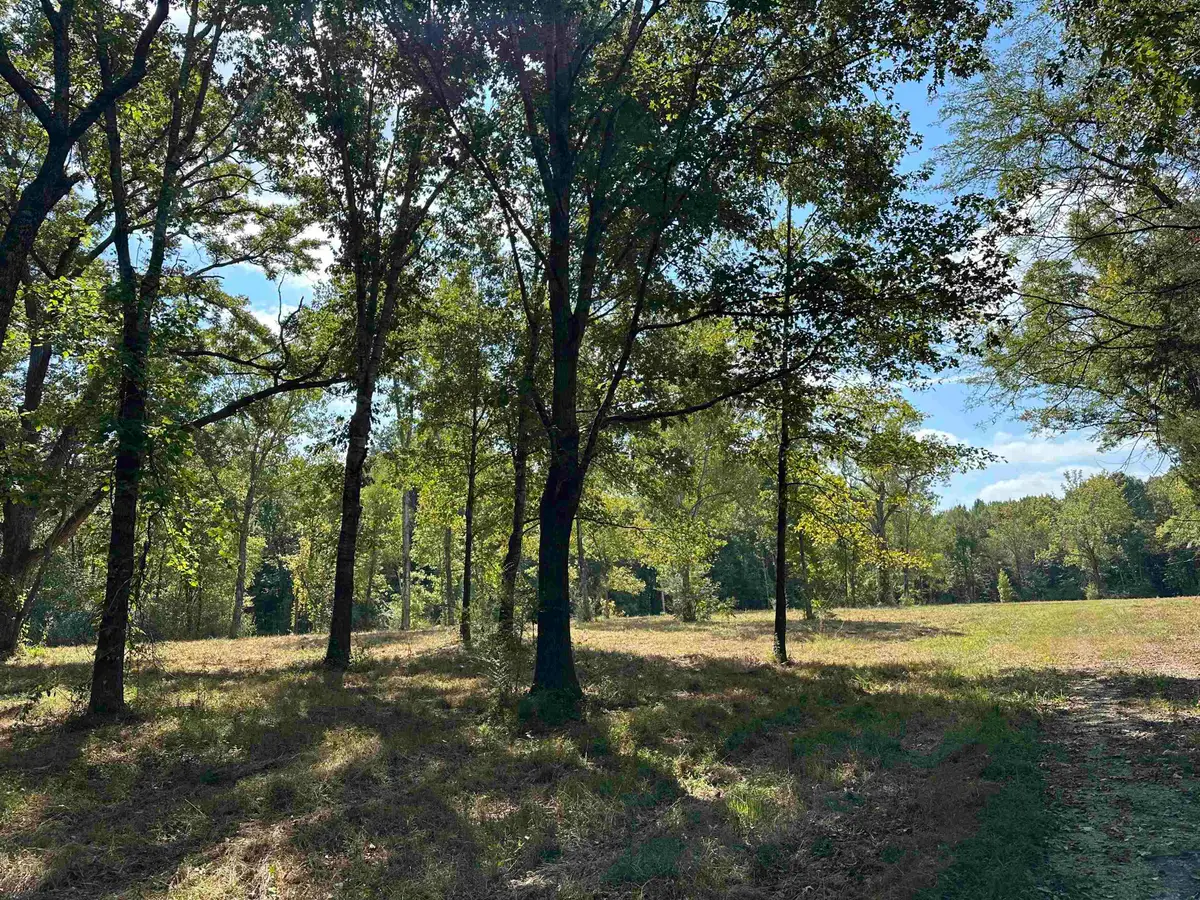 260 MILL RD, 38060, TN 38060 - #1