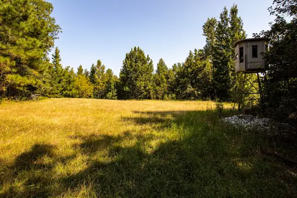 0 350 HWY, Counce, TN 38326