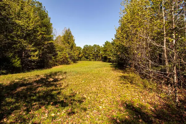 0 125 HWY, Toone, TN 38381