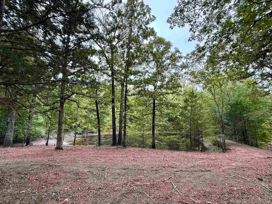 6235 MCKINSTRY RD, Moscow, TN 38076 - #3