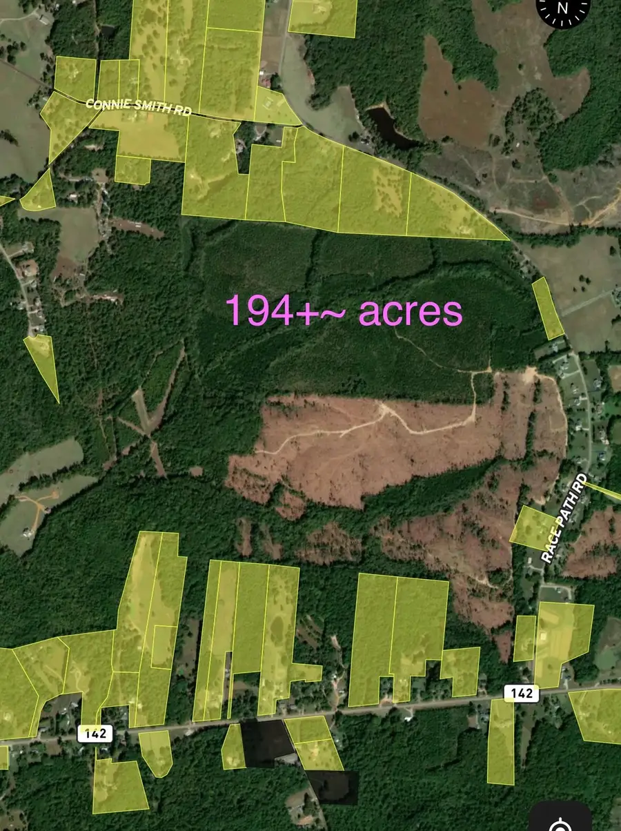 RACE PATH RD, Stantonville, TN 38379 - #3