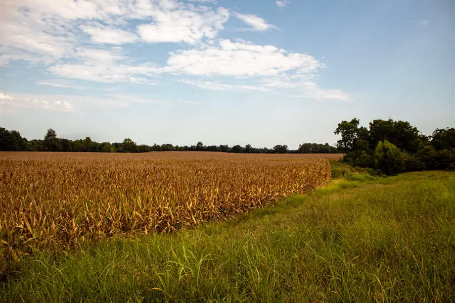 2 TN-18 HWY N, Toone, TN 38381 - #2