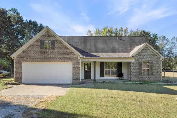 239 AMBER CIR, Byhalia, MS 38611