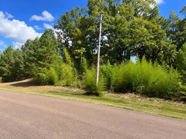 425 HICKORY WOODS LN, Eads, TN 38028 - #1