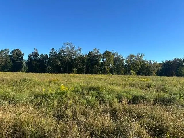 LOT 138 CRAVENS RD, Savannah, TN 38372 - #3