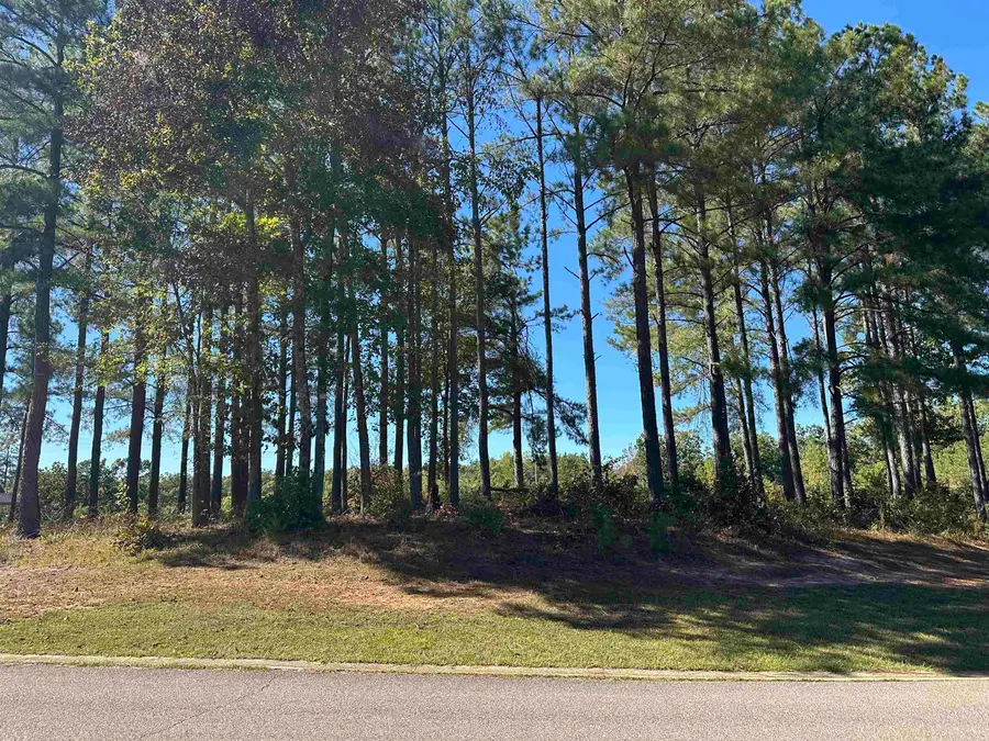LOT 278 DESTINY WAY #Lot 278, Savannah, TN 38372 - #3