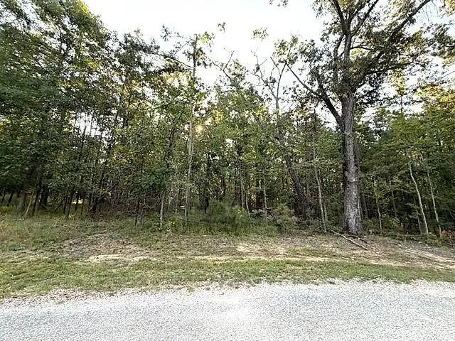 57 TIMBER RIDGE DR, Counce, TN 38326-000 - #1