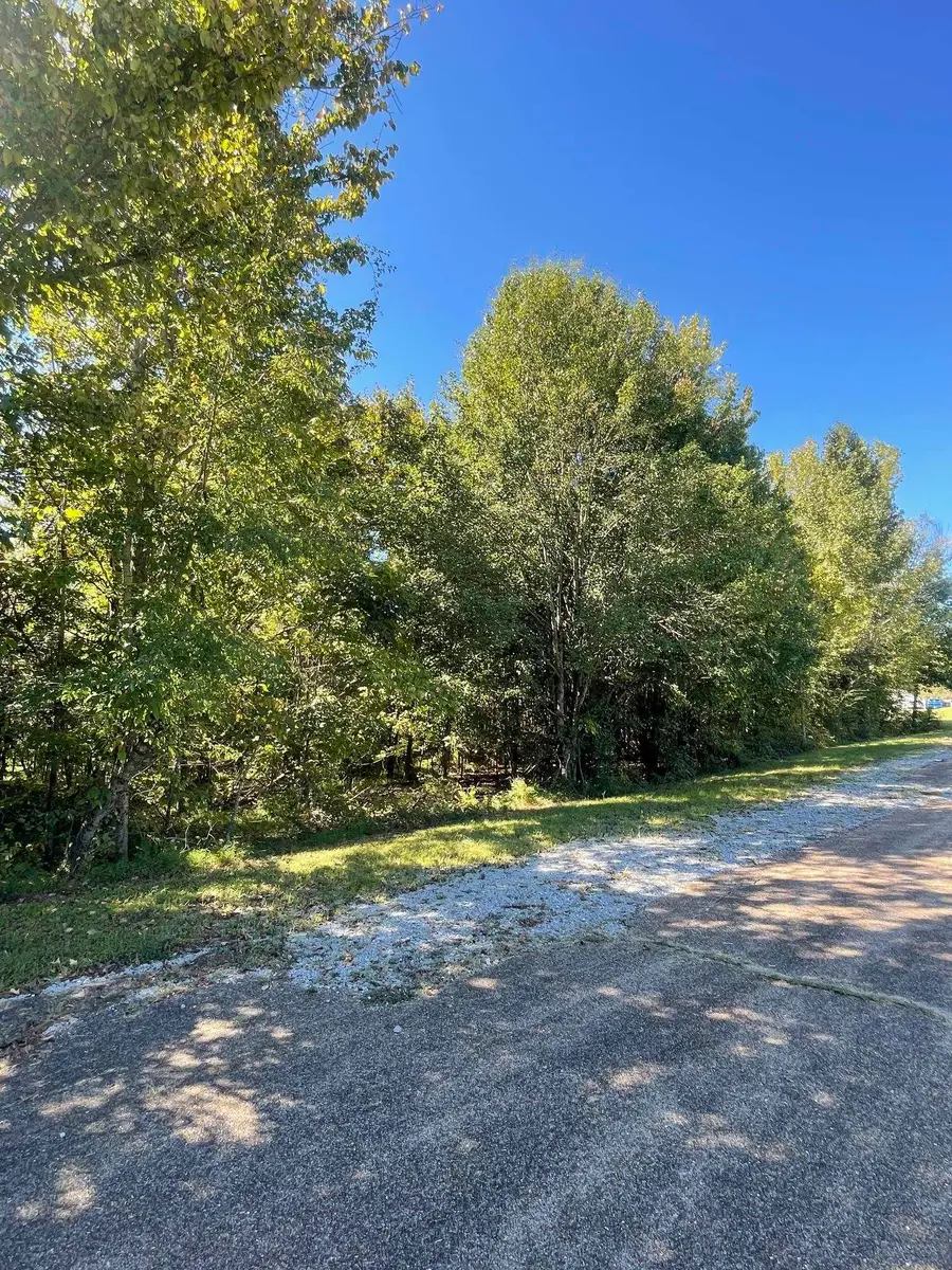 MCCREIGHT DR, Millington, TN 38053 - #3