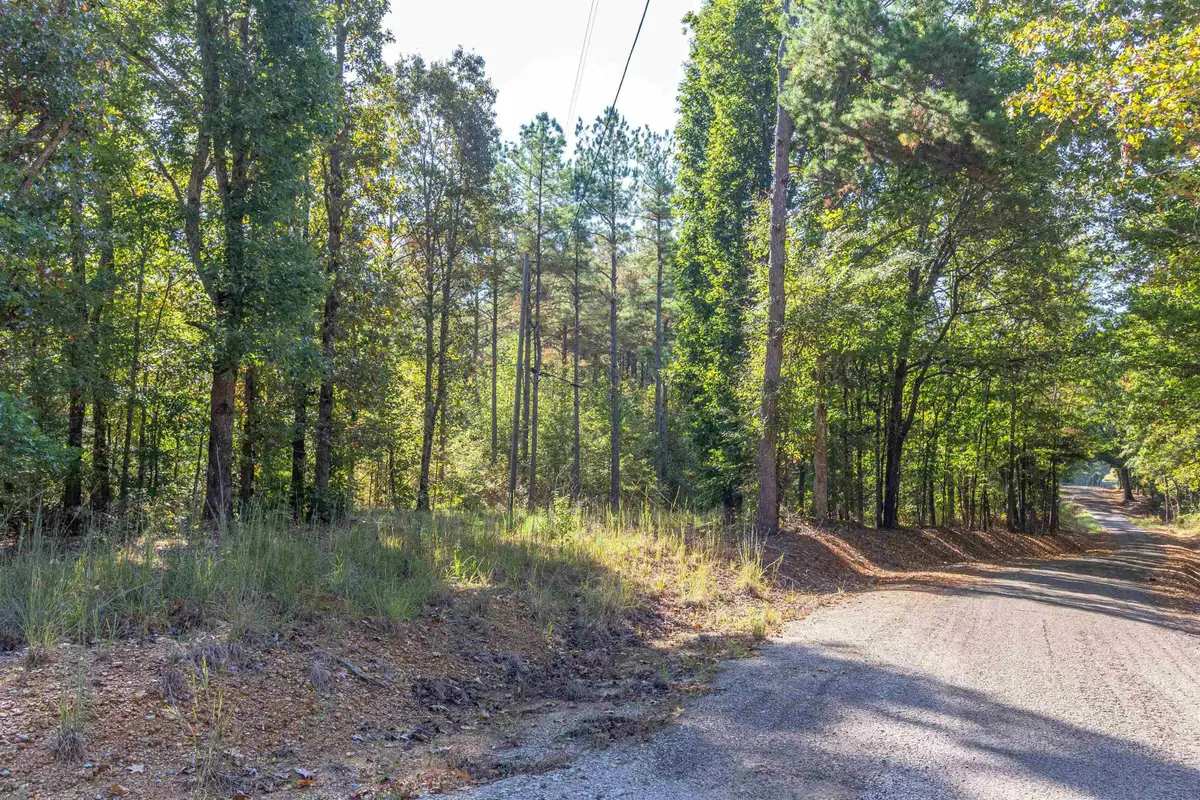 917 TULL GARNER RD, Bethel Springs, TN 38315 - #1