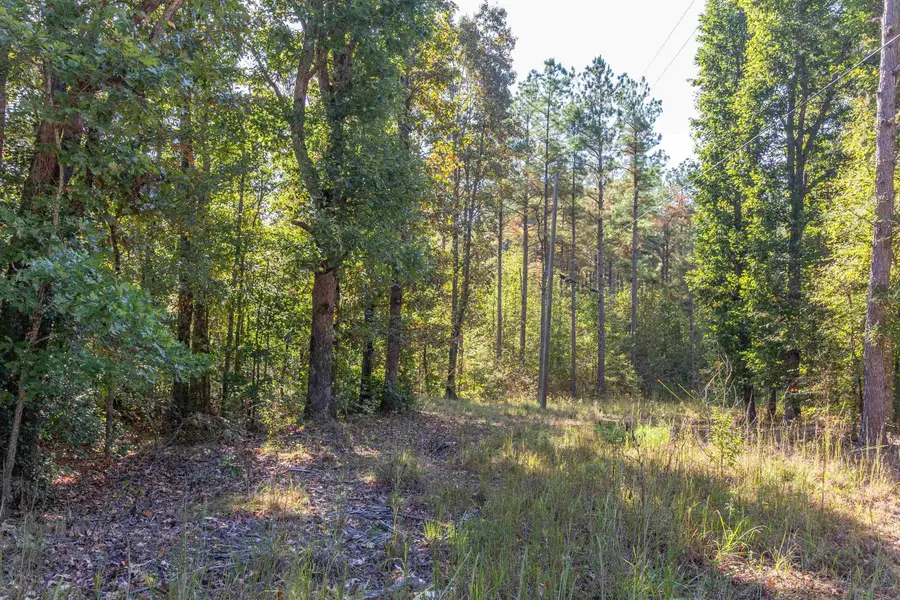 917 TULL GARNER RD, Bethel Springs, TN 38315 - #2