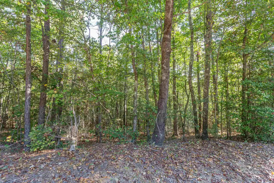 917 TULL GARNER RD, Bethel Springs, TN 38315 - #3