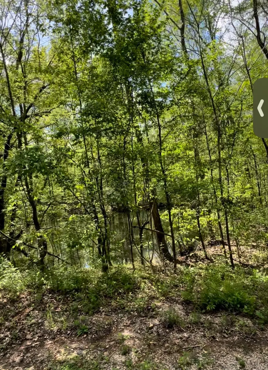 0 DOLL CONWAY RD, Clifton, TN 38425 - #3