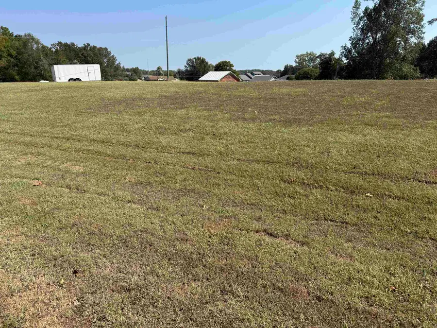 23, 24 TENNESSEE RIVER LN, Savannah, TN 38372 - #2