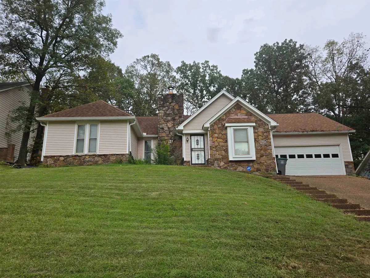 8551 E CHIPPINGHAM DR, Cordova, TN 38016 - #1