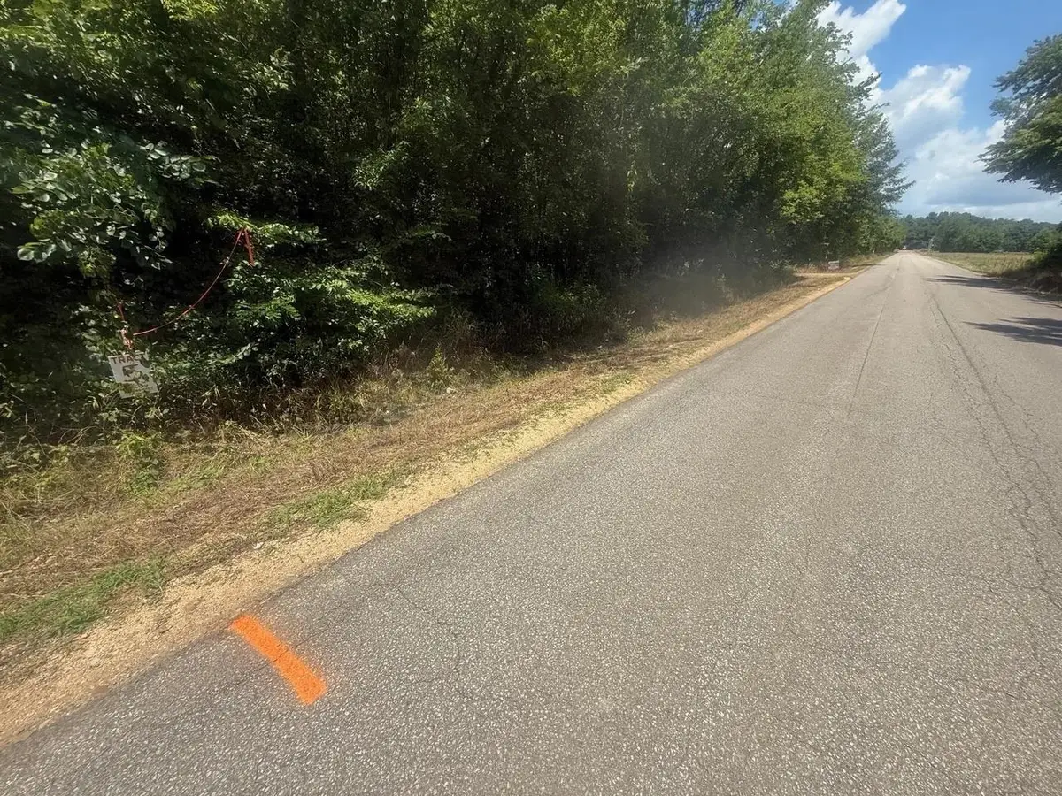 TRACT 4 COFFEE LANDING RD, Savannah, TN 38372 - #1