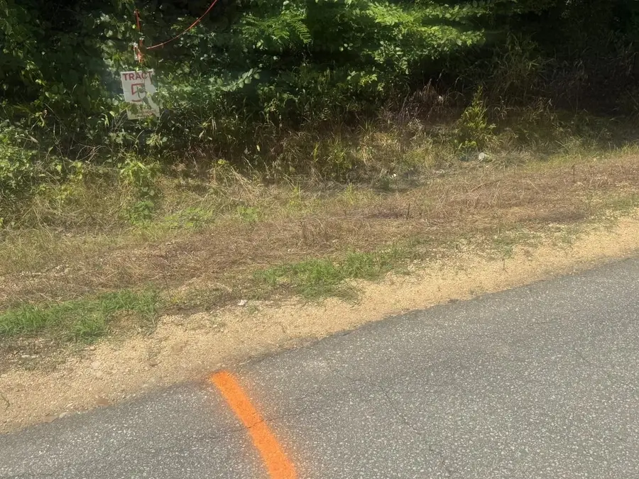 TRACT 4 COFFEE LANDING RD, Savannah, TN 38372 - #2