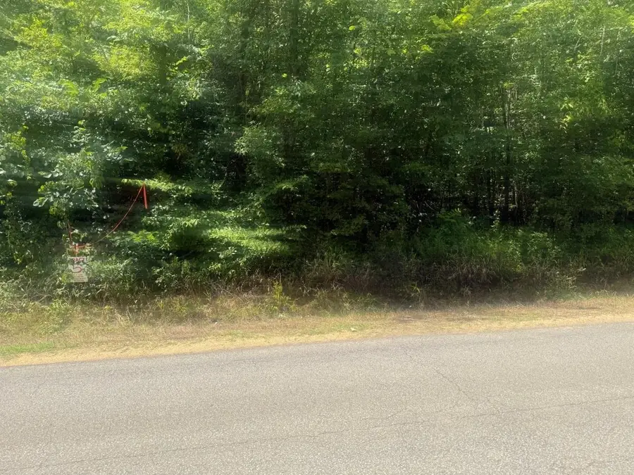 TRACT 4 COFFEE LANDING RD, Savannah, TN 38372 - #3