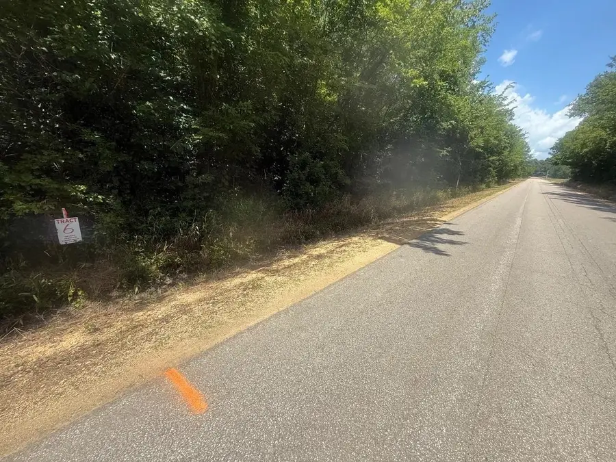 TRACT 5 COFFEE LANDING RD, Savannah, TN 38372 - #2