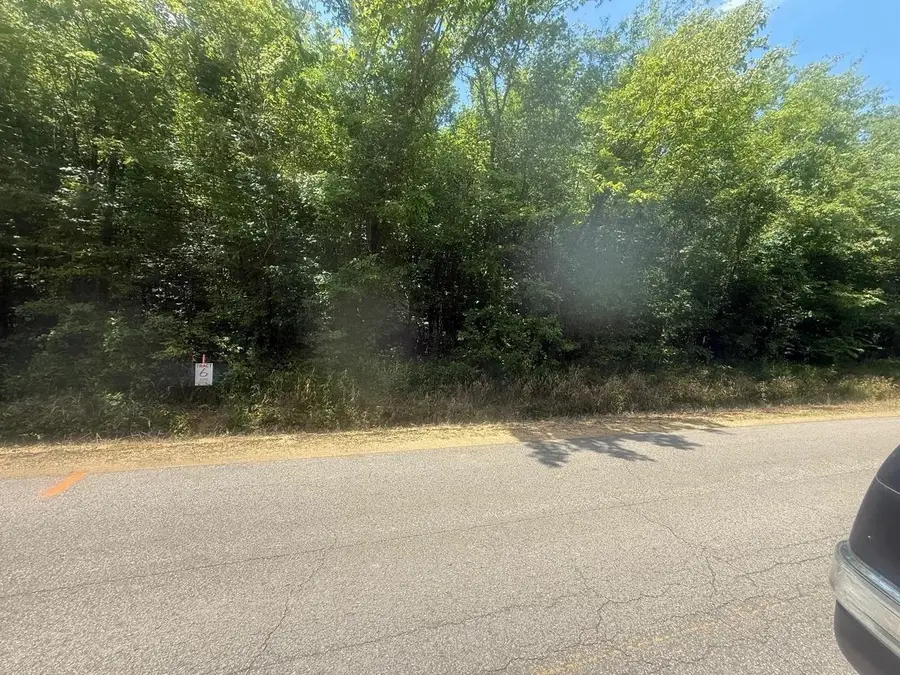 TRACT 5 COFFEE LANDING RD, Savannah, TN 38372 - #3