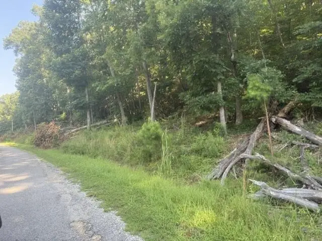 TRACTS 7-9 CARROLL HOLLOW RD, Waynesboro, TN 38485 - #1