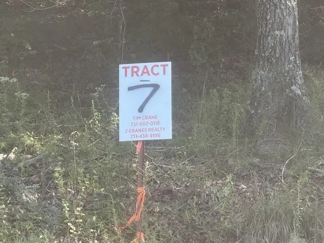 TRACTS 7-9 CARROLL HOLLOW RD, Waynesboro, TN 38485 - #2